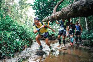 BIB: 
                            <button type="button" onclick="openModal(25370149)" class="btn btn-primary btn-sm float-right btn-popup" data-toggle="modal" data-target=".modal-high-quality">
                        <i class="fas fa-shopping-cart"></i> Add to Cart
                    </button>
                                            <button type="button" onclick="isThisMe(25370149, true)" class="btn btn-success btn-sm float-right btn-popup btn-isme hidden" data-toggle="tooltip" data-placement="bottom" title="นี่คือรูปของคุณใช่ไหม คลิกที่นี่เพื่อเอาเข้าอัลบั้ม">
                        <i class="fas fa-plus"></i> Add to album
                    </button>
                    <button type="button" onclick="isThisMe(25370149, false)" class="btn btn-warning btn-sm float-right btn-popup btn-isnotme hidden">
                        <i class="fas fa-ban"></i> Remove from album
                    </button>